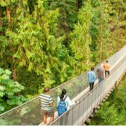 Capilano Suspension Bridge Park: Summer Twilight Rates & BC Resident Pass Savings