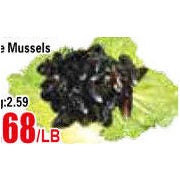 Live Mussels - $1.68/lb