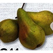 Abate Pears - $2.44/lb