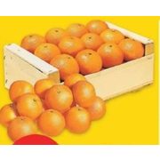 Clementines - $4.97