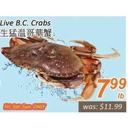 Live B.C. Crabs - $7.99/lb.