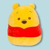 Amazon.ca: Get the Squishmallow 14" Winnie the Pooh Plush Now in Canada