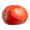 Greenhouse Roma Tomatoes or Extra Large Green Sweet Peppers  - $1.99/lb