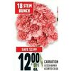 Carnations - $12.00 ($2.99 off)