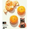 Fresh Clementines - $4.99