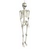 Halloween Decorations For The Big Night! - $7.99-$99.99 (Up to 30% off)