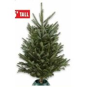 Elf Tree - $34.99