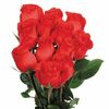 Ecuadorian Dozen Roses - $35.00