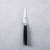 All Star Paring Knife - $83.99 (10% off)